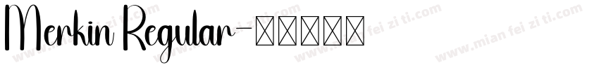 Merkin Regular字体转换